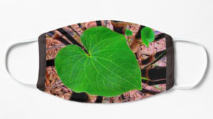 awa hiwa mask