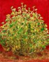 Mana 'Awa by Solomon Enos, December 2019. Copyright © 2019, 2020 Hawaiian Kava Center, LLC